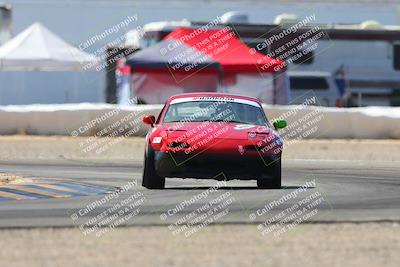 media/Oct-12-2024-Lucky Dog Racing (Sat) [[592b3fc642]]/Stint 2 From (1215pm to 140pm)/8-Turn 2/